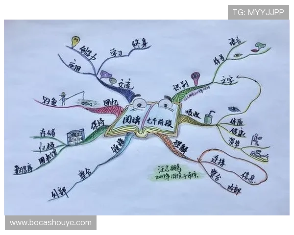 色碟的多样选择与鉴赏指南，提升你的视觉体验